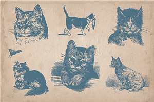 31 Hand Drawn Cats And Kittens