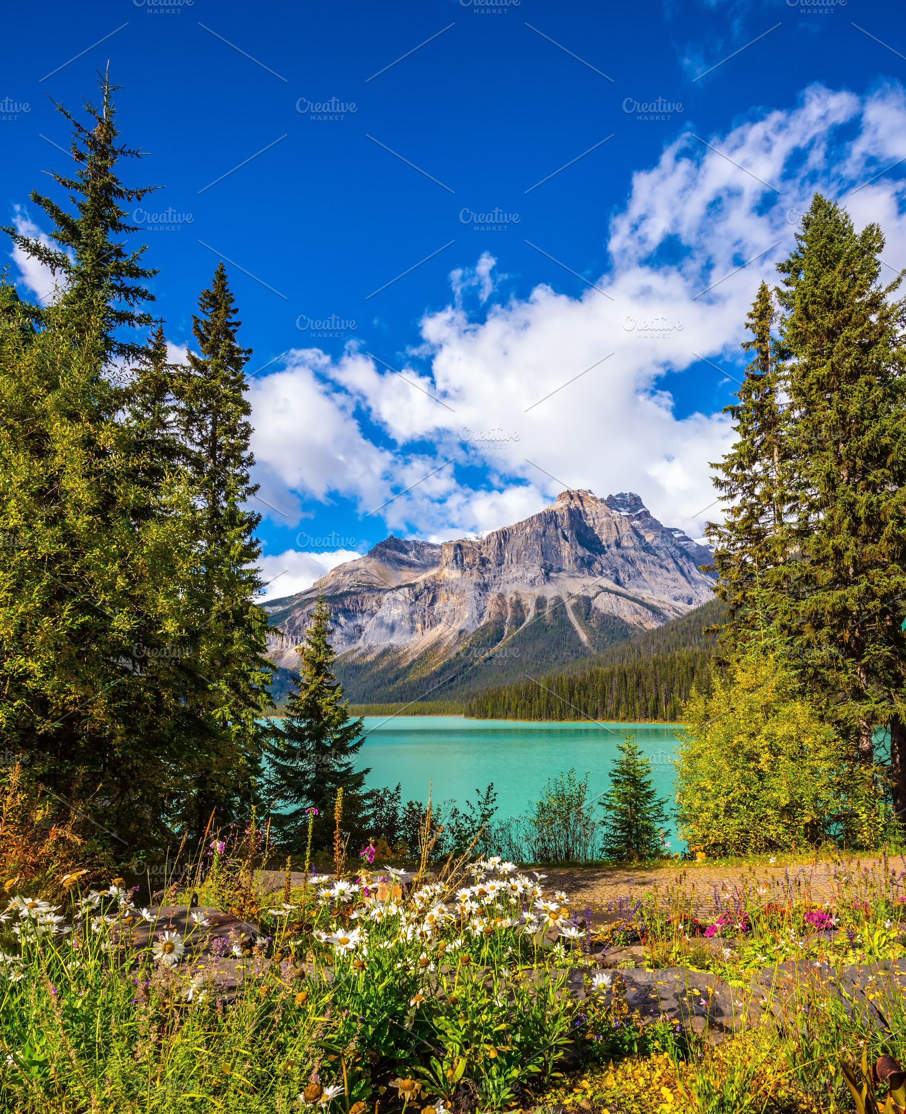 Yoho National Park, Canada, a Nature Photo by kavram