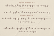 APOC - Maheera Bright Font, a Script Font by a Piece of Cake (Thumbnail 17 of 20)