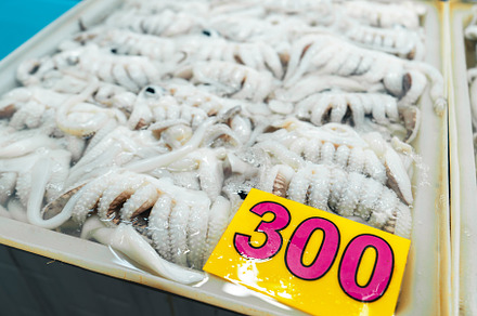 Fresh squid in trays for sale in the fish market, a Food & Drink Photo by Art Rachen