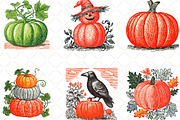 Pumpkin Hand Drawn Fall, an Illustration by Black Bird Studio (Thumbnail 2 of 6)