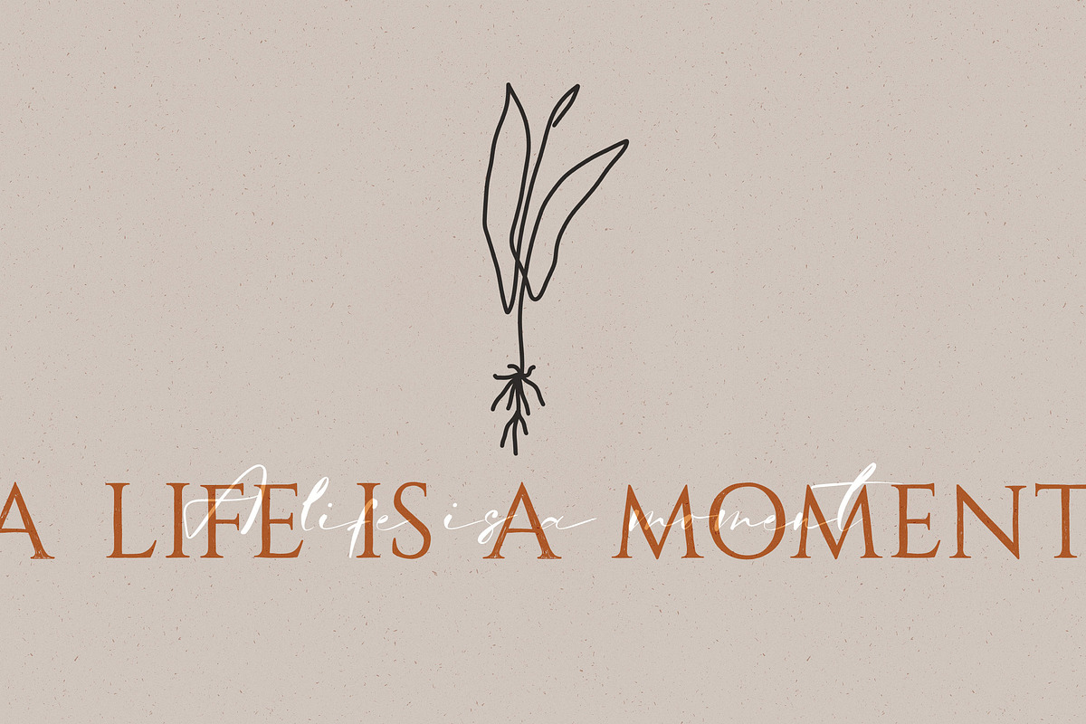 Bay Area Font Family, a Script Font by Spasibenko Art (Photo 3 of 18)