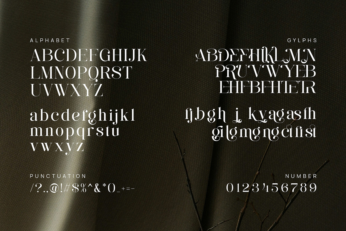 Manglove - Elegant Serif Font, a Serif Font by TypeLogue (Photo 5 of 5)