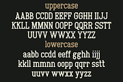 Graintype - Typewritter Font, a Handwritten Font by MaikoHatta (Thumbnail 4 of 7)