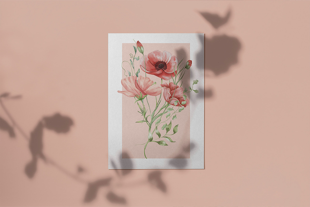 Watercolor Wildflowers Botanical Set, a Decorative Illustration by BarvArt (Photo 15 of 22)