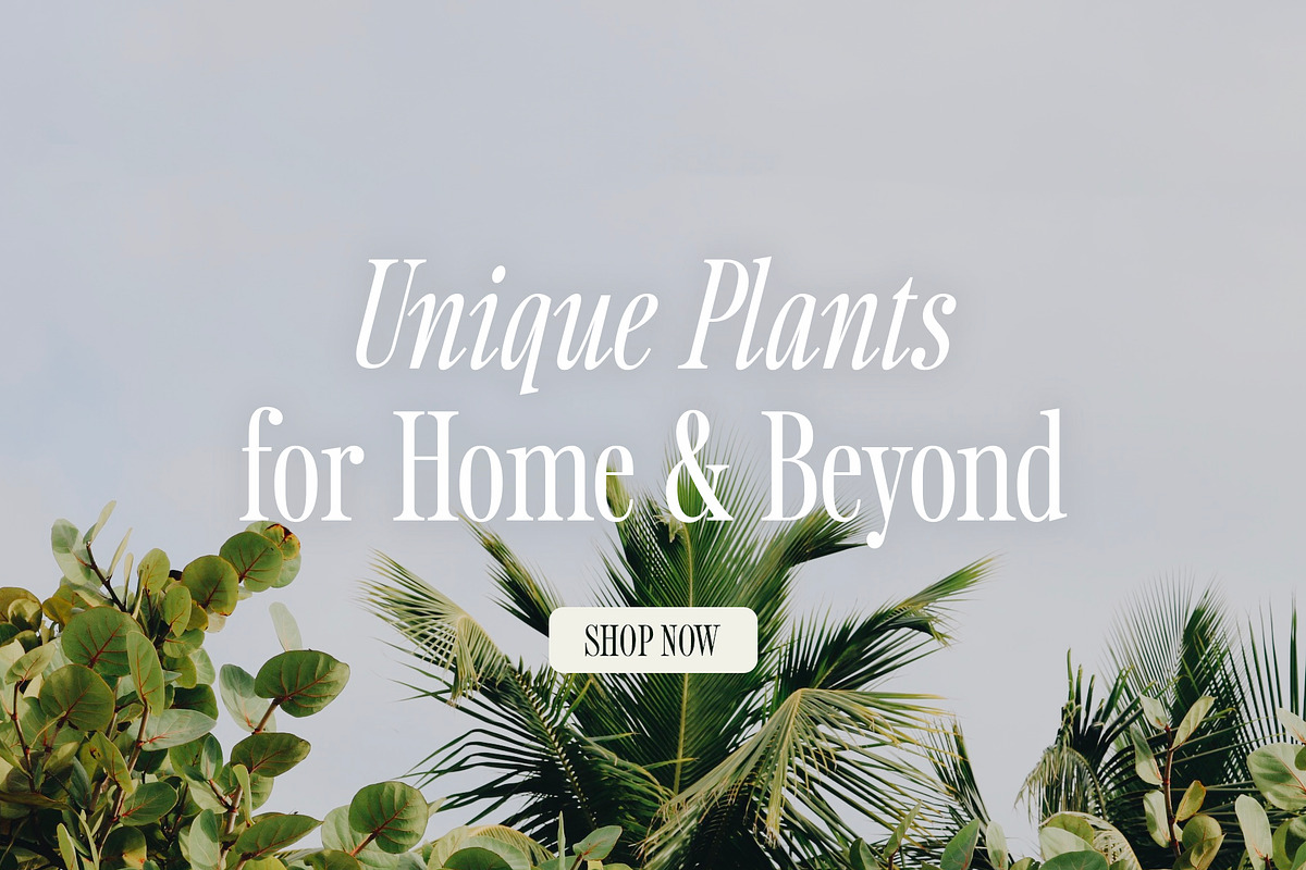 Sailing Club | Nostalgic Serif, a Serif Font by Jen Wagner Co (Photo 13 of 22)