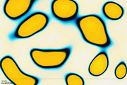 MAGMA Gradient Background Creator, an Action Add-On by kloroform (Thumbnail 8 of 10)