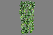 Ivy_Flat, an Environmental 3D Model by 2dawngames (Thumbnail 2 of 2)