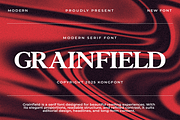 Grainfield – Modern Serif Font, a Serif Font by overlaytemplates (Thumbnail 1 of 5)