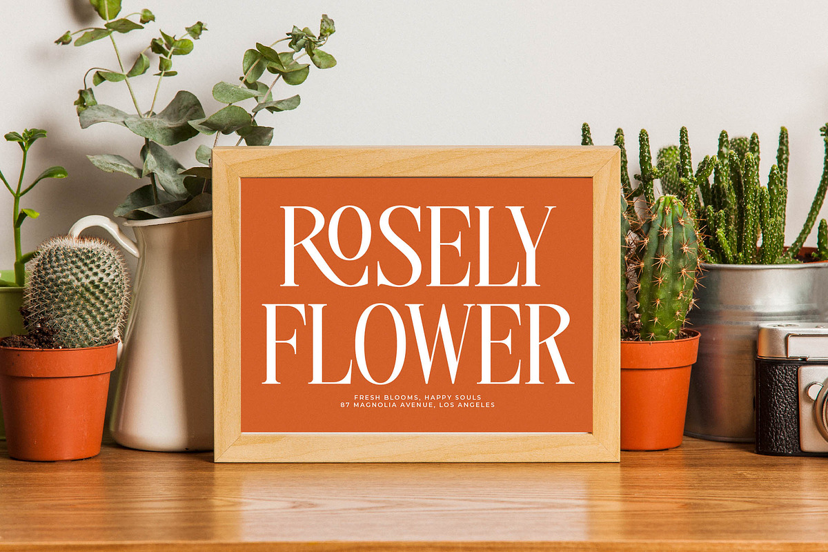 Tigerlife Sparkle Modern Serif, a Serif Font by timelesstype.co (Photo 15 of 20)