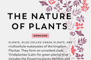 Trenda, a Sans Serif Font by Latinotype (Thumbnail 5 of 15)