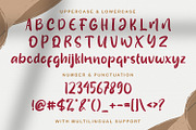Susanow - Handwritten Font, a Script Font by StringLabs (Thumbnail 8 of 9)