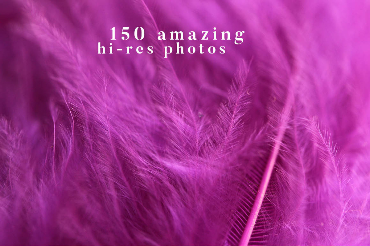 Feather Toolkit - Photos & Graphics, a Mockup by Cruzine (Photo 4 of 9)