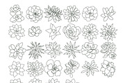 Succulent Outline Stamp Brushes, a Brush Add-On by AureDesignCo (Thumbnail 2 of 3)