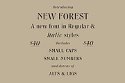 New Forest, a Font by Simon Walker (Thumbnail 1 of 9)