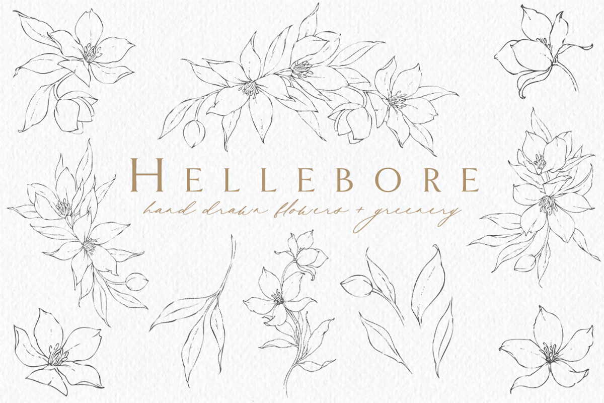 Illustrated Florals for Weddings, an Illustration by Blushed Design by Katrina (Photo 1 of 6)