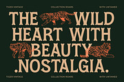 Locatro Western Display Serif, a Serif Font by timelesstype.co (Thumbnail 3 of 15)