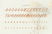 Waiting Cassey | Handwritten Script, a Script Font by gracetype_studio (Thumbnail 12 of 12)