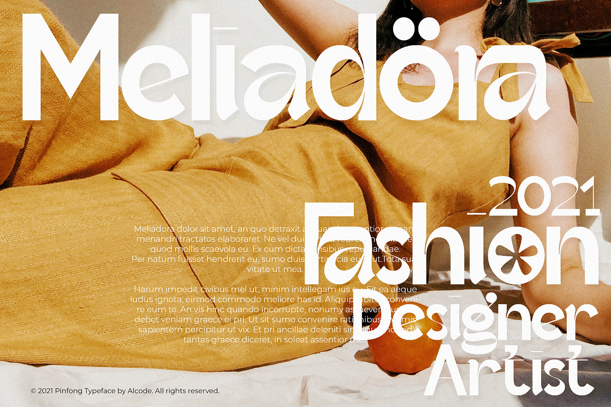 Pinfong Typeface, a Serif Font by Alcode (Photo 3 of 20)