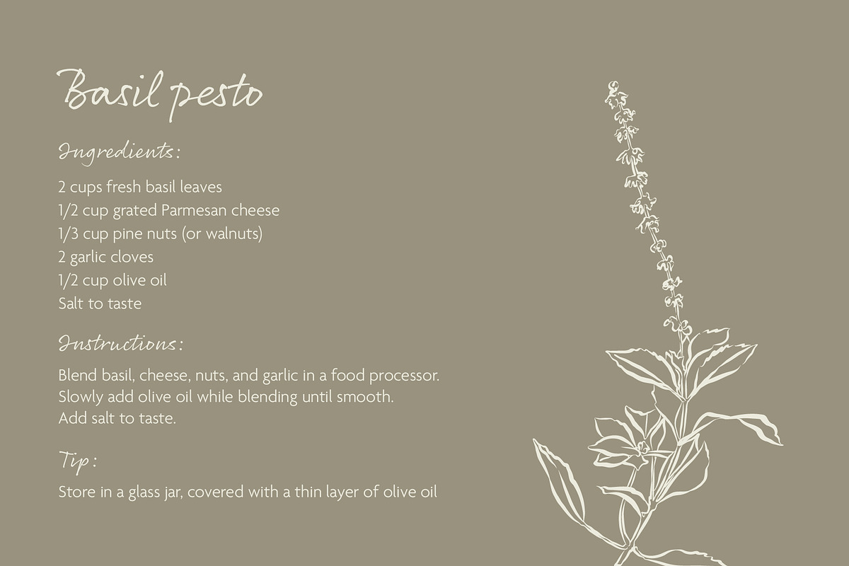 Herbs & Spices Vector Bundle, a Food Illustration by Little Gremlin (Photo 7 of 10)