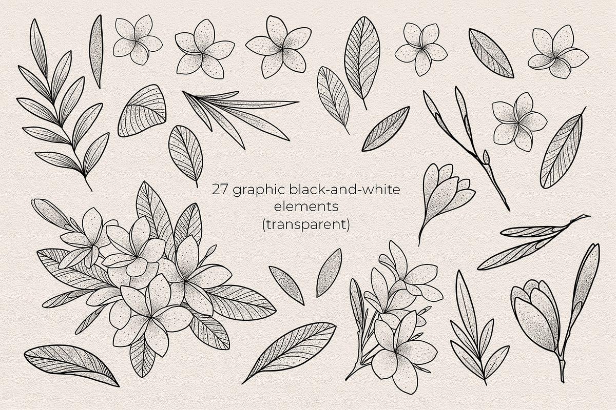 Illustration set Plumeria, an Illustration by Maria Summer (Photo 4 of 13)