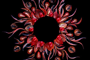 Tomato Slice Pattern