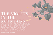 Bogota Handwritten Font, a Serif Font by Studio.lize (Thumbnail 2 of 7)