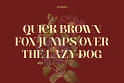 Murqas - Width Family, a Serif Font by Holyline Design (Thumbnail 6 of 12)