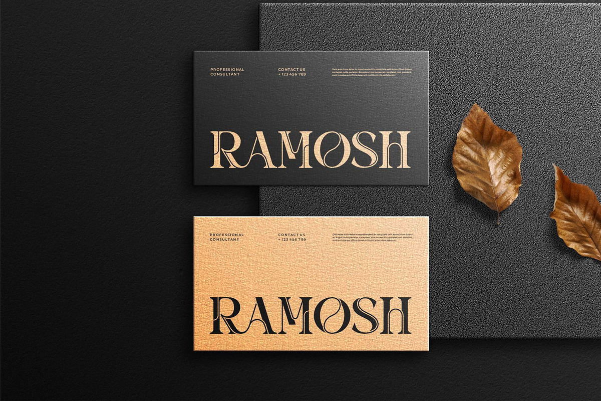 Bramos || Modern Elegant Serif Font, a Serif Font by Ermedia Studio (Photo 7 of 10)