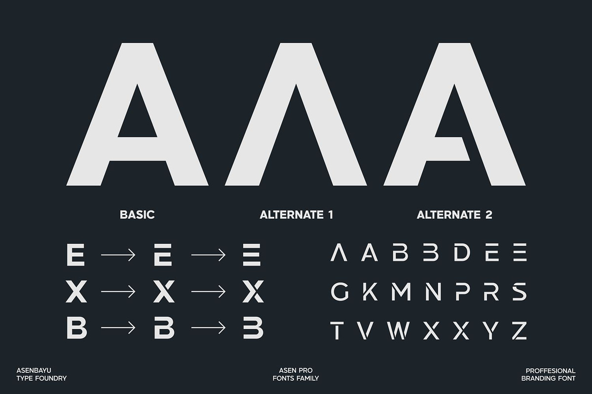 Asen Pro Fonts Family, a Sans Serif Font by Asenbayu (Photo 7 of 15)
