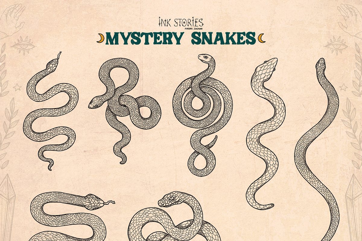Mystery Snakes, an Animal Illustration by Ink Stories (Photo 9 of 31)