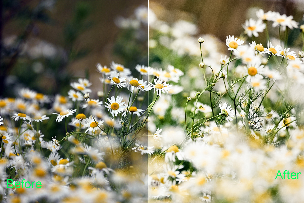 Summer Photoshop Actions 290 Bundle, an Action Add-On by ARTNEST (Photo 2 of 12)