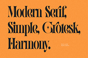 Ratib – Modern Serif Font, a Serif Font by RedyStudio (Thumbnail 3 of 14)