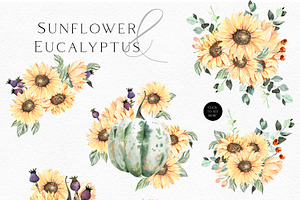 Sunflower And Eucalyptus