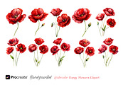 Watercolor Poppy Flowers Clipart, a Decorative Illustration by crafty (Thumbnail 8 of 8)