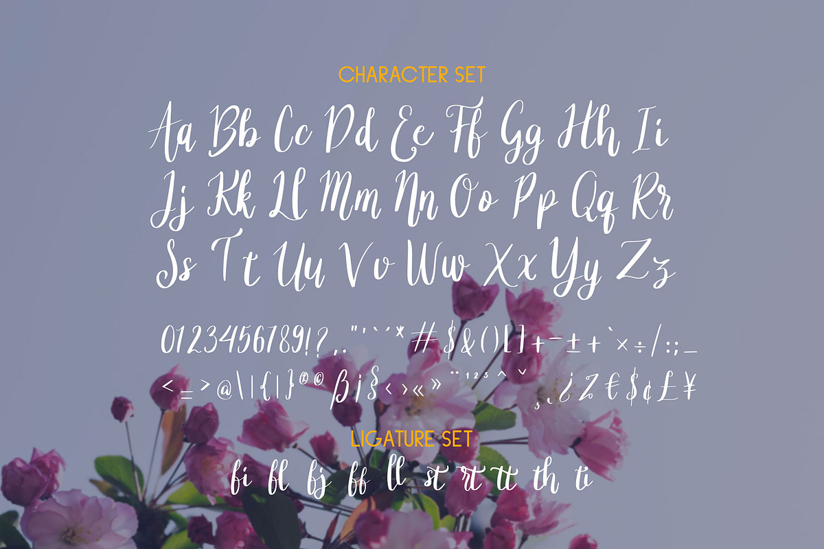 Asther – Stylish Handwritten Font, a Script Font by Graphiqa Studio (Photo 9 of 11)