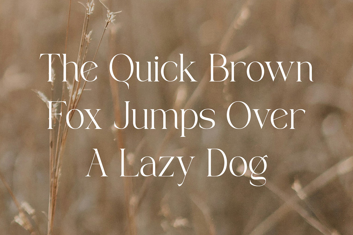 Galem | Elegant Serif, a Serif Font by Typoraith Co (Photo 8 of 10)