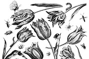 Vintage Engraved Botanical Elements, an Illustration by Jennadesigns (Thumbnail 10 of 12)