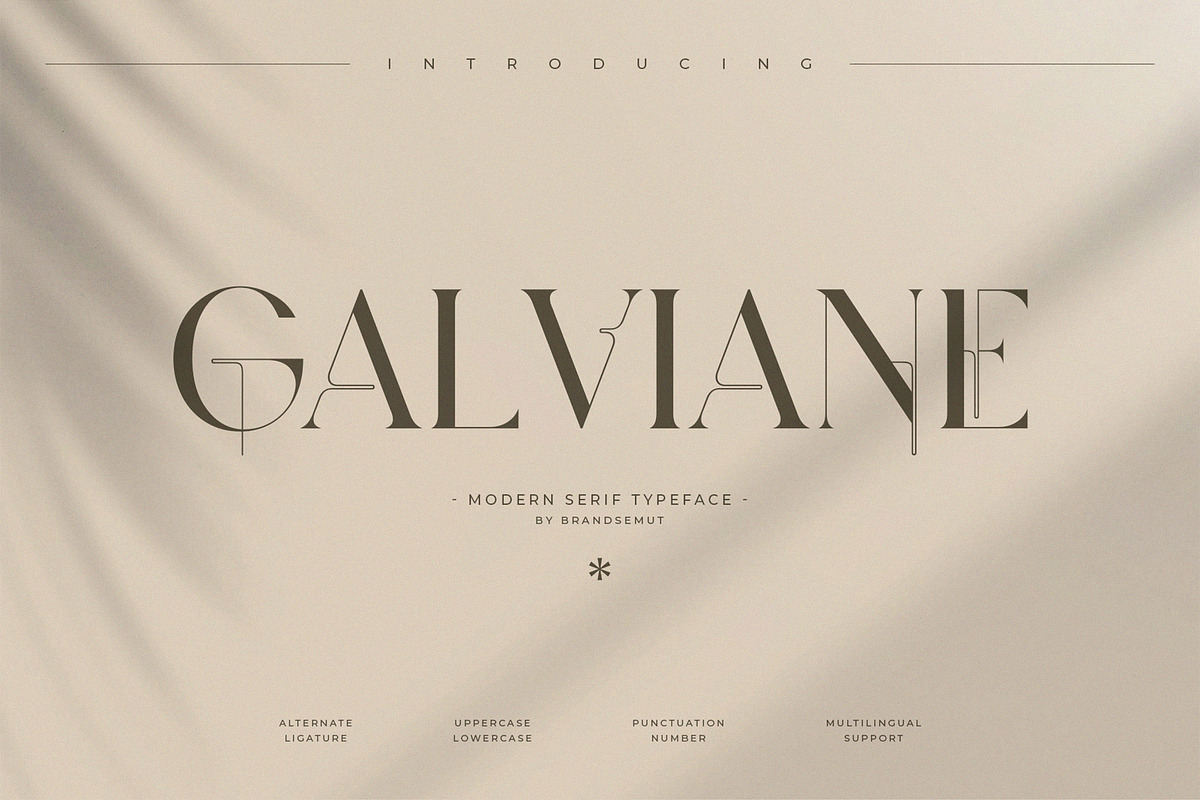 Galviane – Artistic Modern Serif, a Serif Font by BrandSemut (Photo 1 of 10)