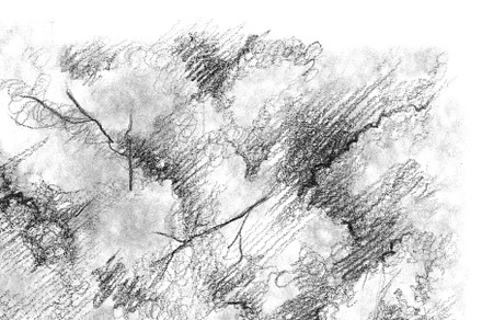 Tree monochrome pencile texture art, a Texture Graphic by Art By Silmairel