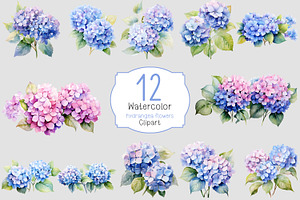 Hydrangea flowers clipart