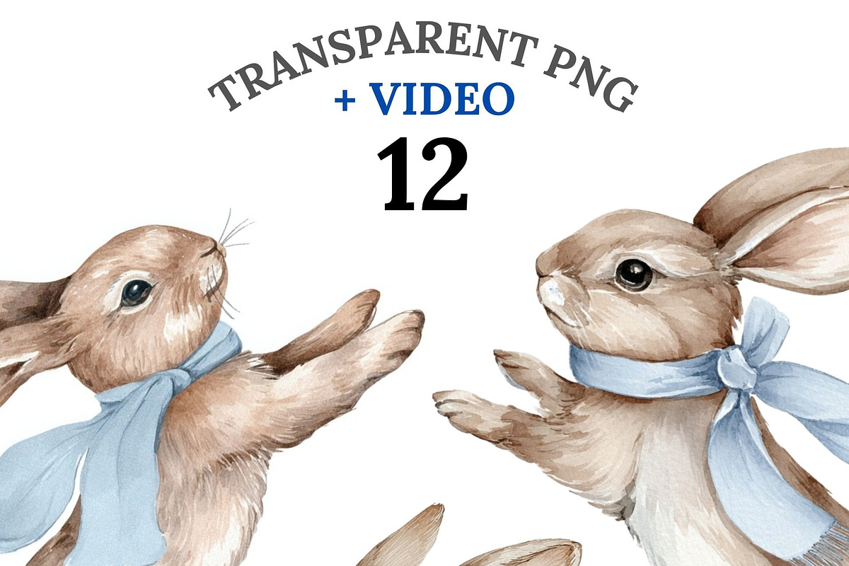 12 Boho Bunny Clipart, an Animal Illustration by Pati Charm Studio (Photo 1 of 8)