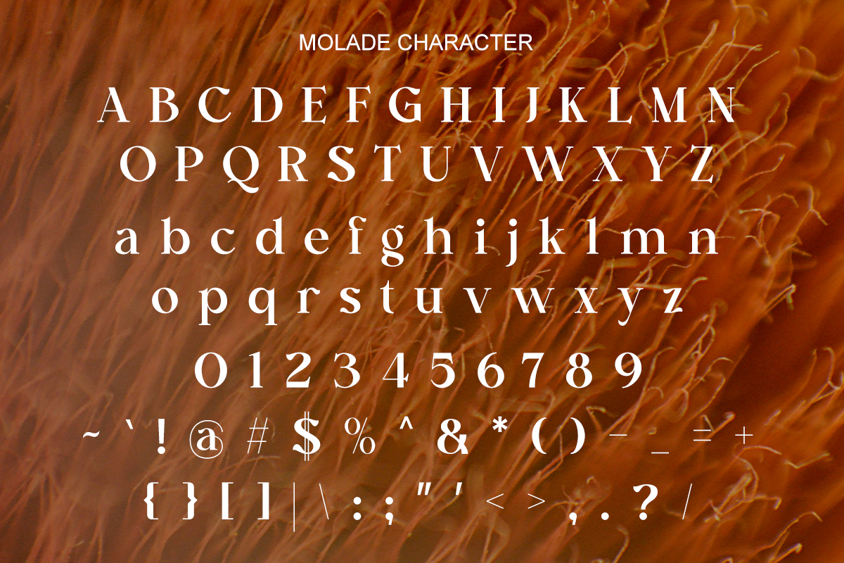 Molade - Modern Ligature Font, a Serif Font by RagamKata (Photo 8 of 10)