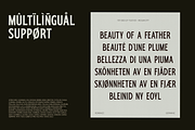 TRT Bird of Feather – Elegant Serif, a Font by truetype (Thumbnail 15 of 15)