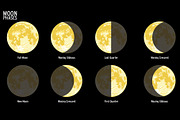 Moon phases, an Illustration by mesblanc (Thumbnail 1 of 3)