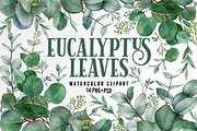 Watercolor eucalyptus leaves clipart, an Object Graphic by yana.fefelova (Thumbnail 1 of 4)