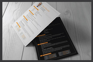 Resume Template V.03