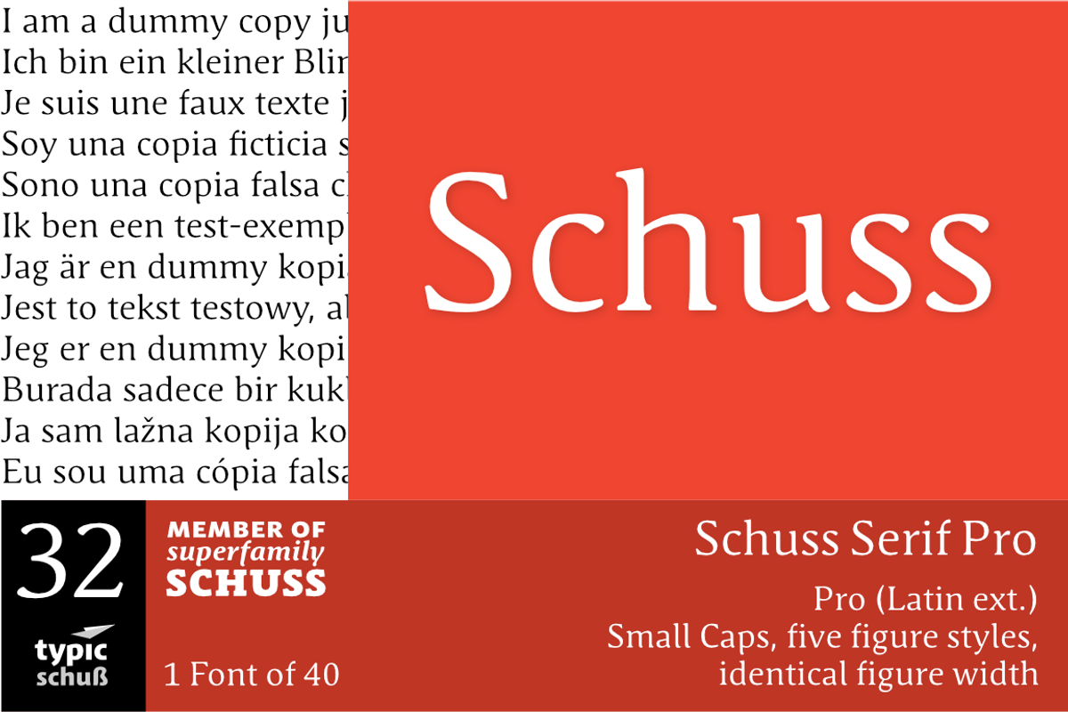 SchussSerifPro No.32 (1 Font)