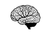 Brain Tree Knowledge Design Bundle, an Illustration by Gaye Art (Thumbnail 26 of 31)