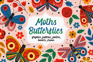 Butterflies And Moths Collection